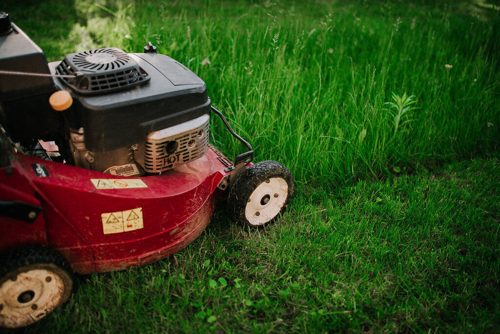 Red petrol lawn mower cutting a lush green lawn — professional lawn mowing in Christchurch Canterbury