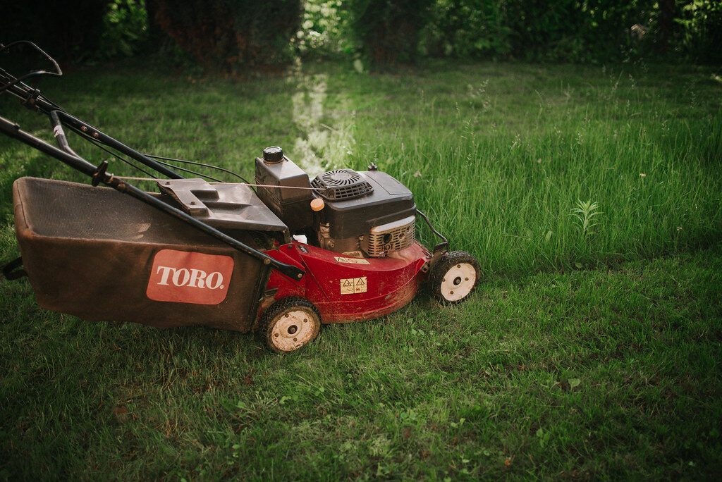 Toro petrol mower with catcher on a freshly cut Christchurch lawn — lawn mowing service Canterbury
